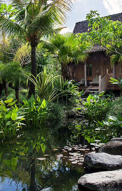 Villa Radha - Entrance pond
